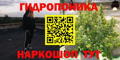 мдпв Заводоуковск